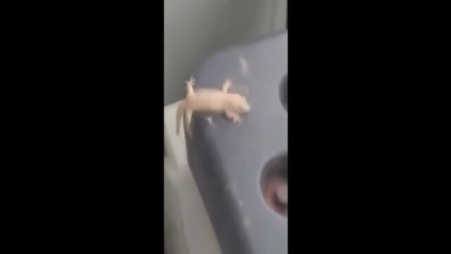 Видео порнуха #175467