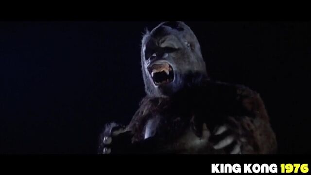 Видео порнуха #184452