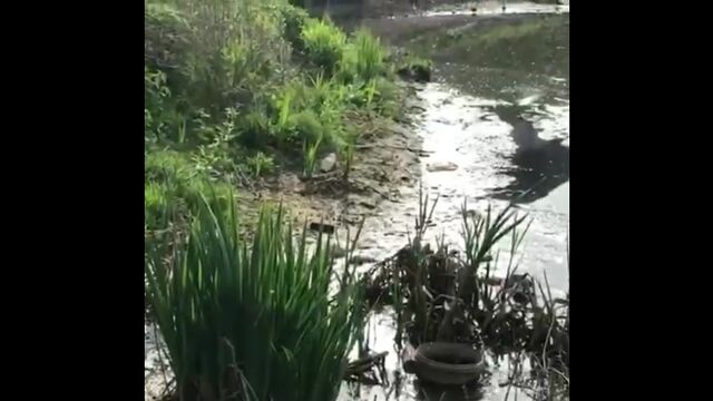 Видео порнуха #189621