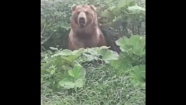 Видео порнуха #165604