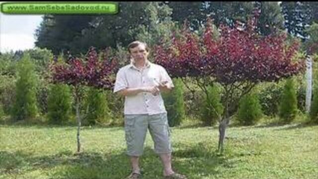 Видео порнуха #1000