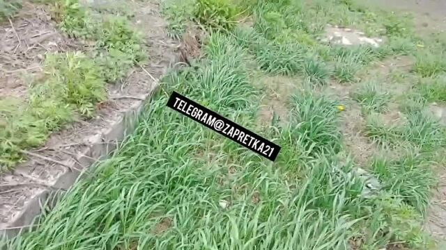 Видео порнуха #144736