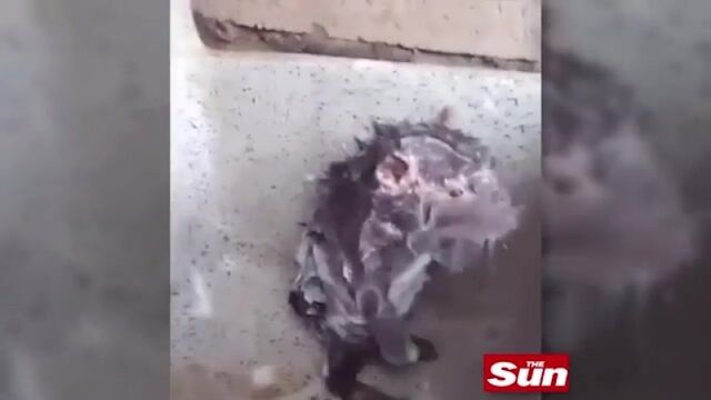 Видео порнуха #32215