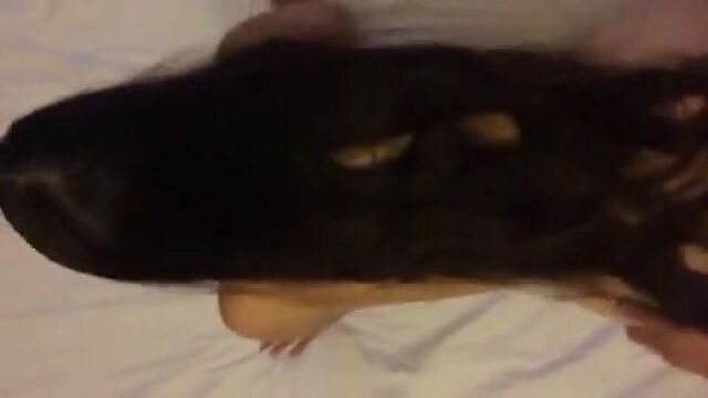 Видео порнуха #222021