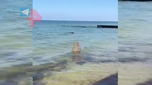 Видео порнуха #132580