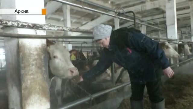 Видео порнуха #45085