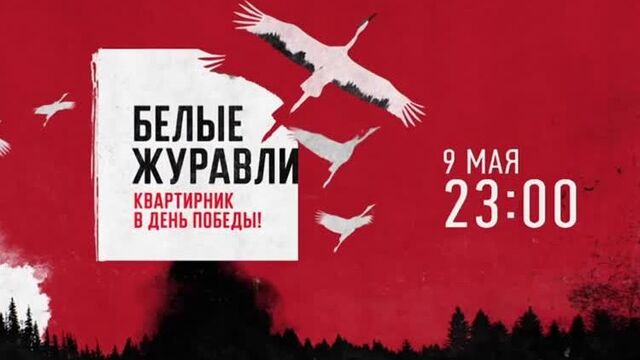 Видео порнуха #55898