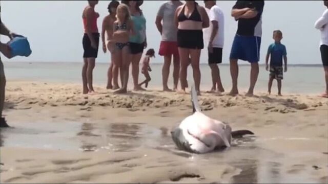 Видео порнуха #77314