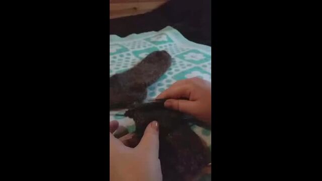 Видео порнуха #63709