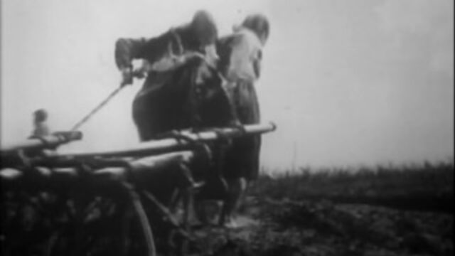 Видео порнуха #5219