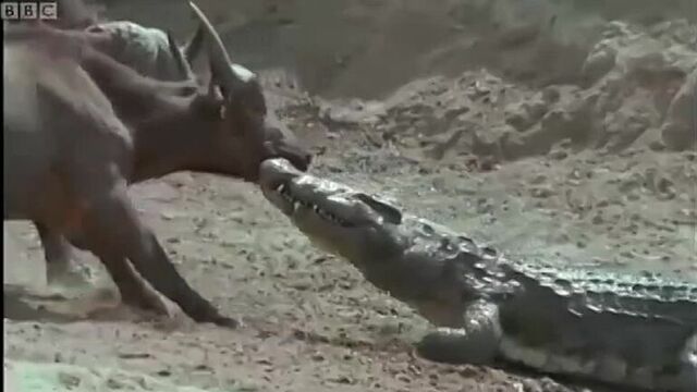 Видео порнуха #84687