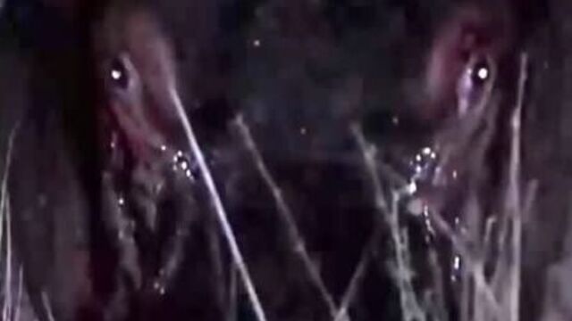 Видео порнуха #57218