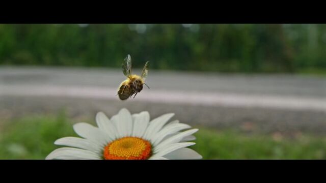 Видео порнуха #186376