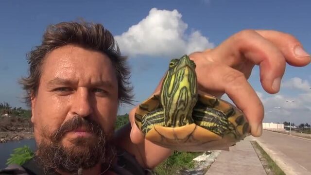 Видео порнуха #42534