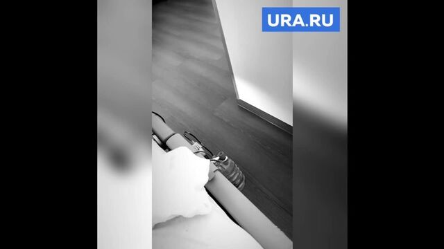 Видео порнуха #80487