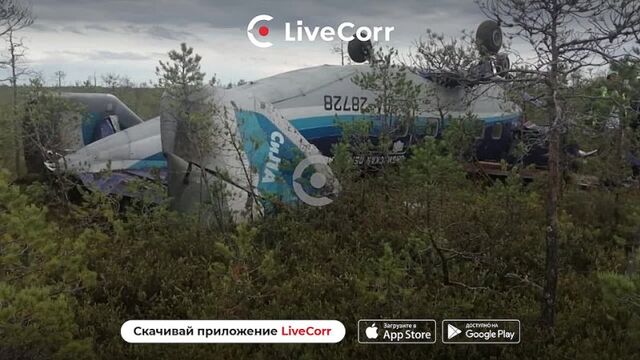 Видео порнуха #113834