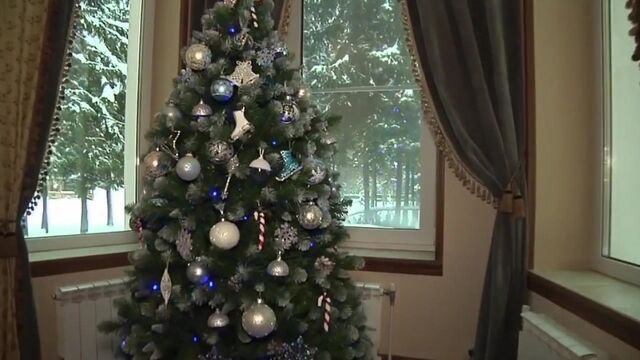 Видео порнуха #117317