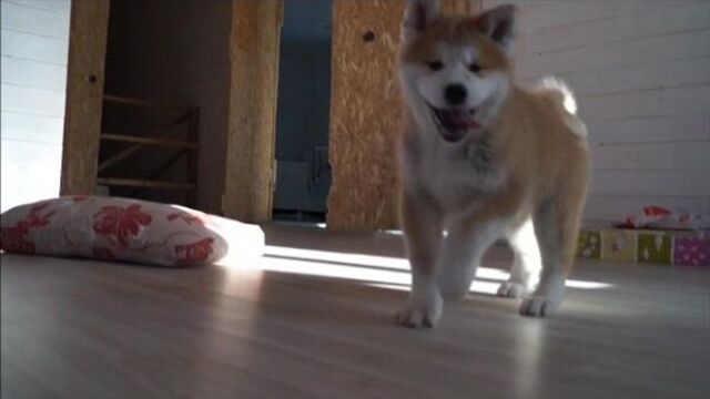 Видео порнуха #24266