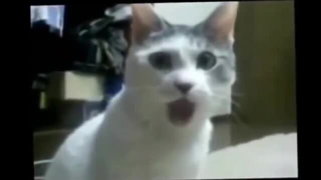 Видео порнуха #12362