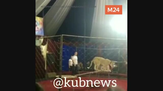 Видео порнуха #111149