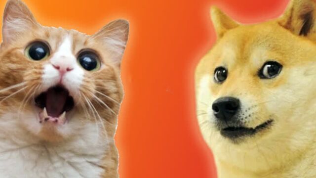 Видео порнуха #47491