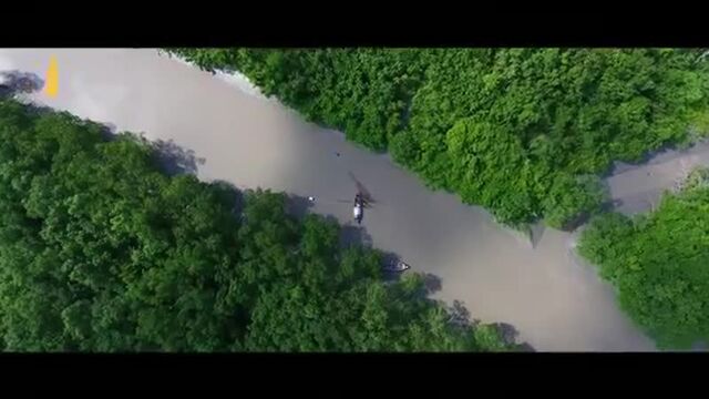 Видео порнуха #39448