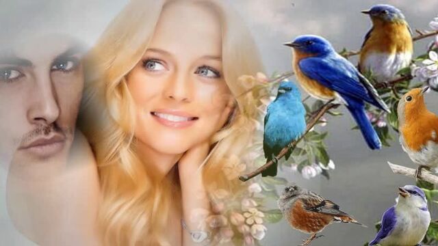 Видео порнуха #49522