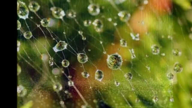 Видео порнуха #119190