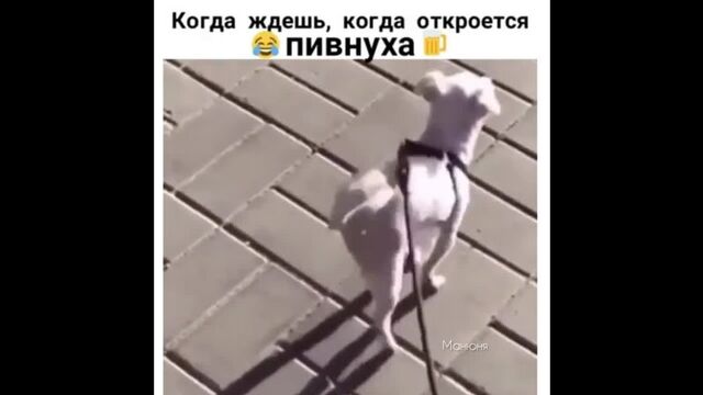 Видео порнуха #118186