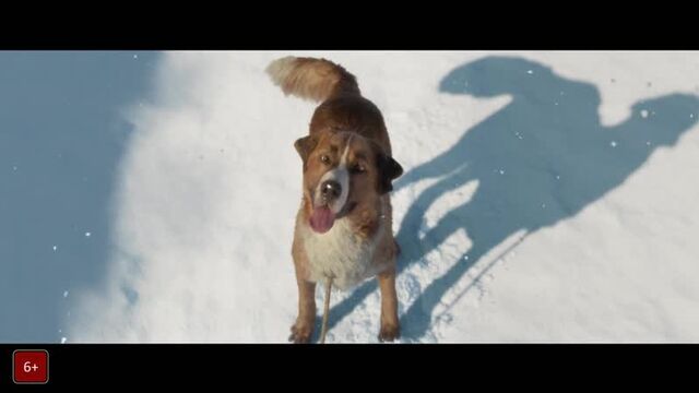 Видео порнуха #48852