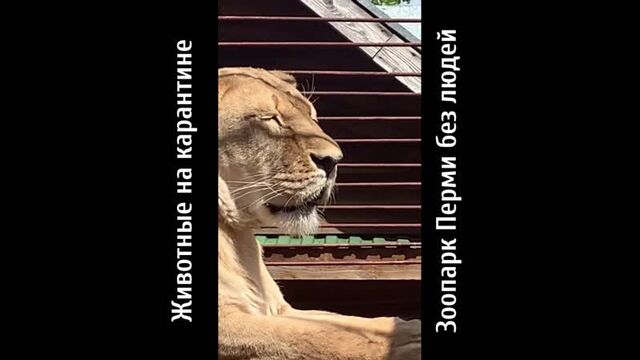 Видео порнуха #56615