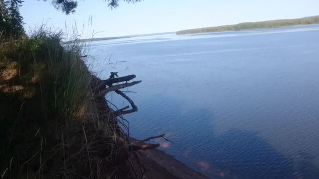 Видео порнуха #61746