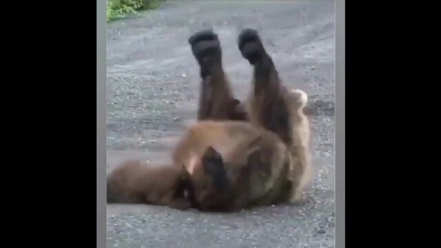 Видео порнуха #159092