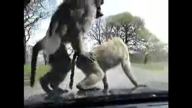 Видео порнуха #954