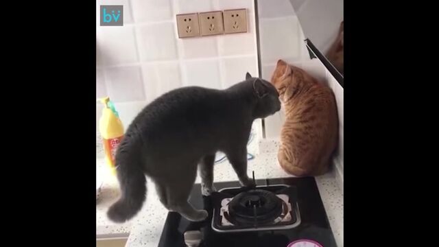 Видео порнуха #159023