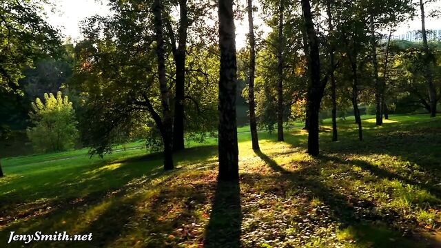 Видео порнуха #31292