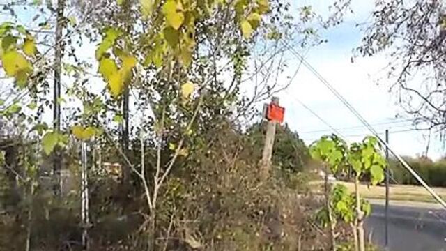 Видео порнуха #34861