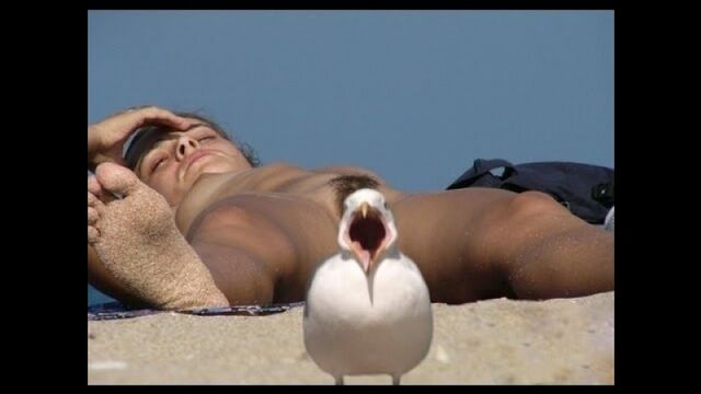 Видео порнуха #164901