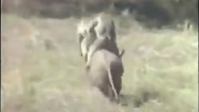 Видео порнуха #12835