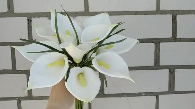 Видео порнуха #42216