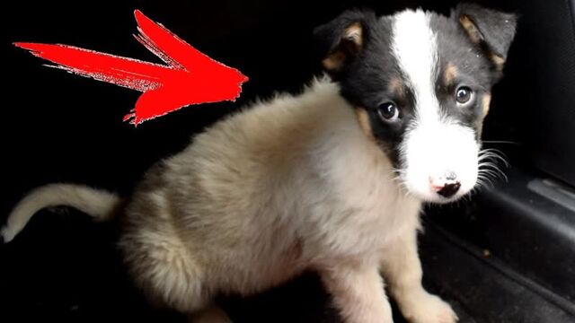 Видео порнуха #39424