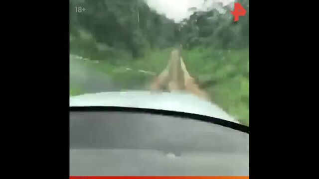 Видео порнуха #67082